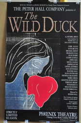 the wild duck